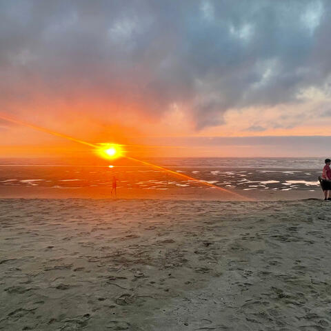 Floridian Rebel Sand