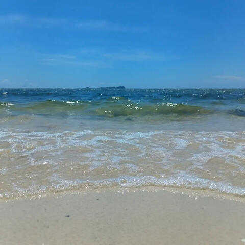 Ride the Wave Part Two