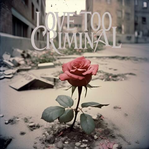 Love Too Criminal