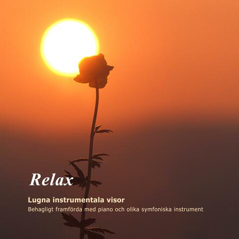 Relax - Lugna instrumentala visor