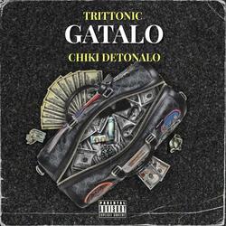 GATALO (feat. Trittonic)