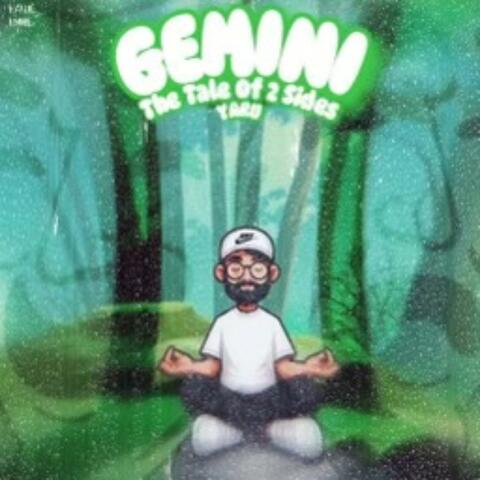 GEMINI: THE TALE OF TWO SIDES