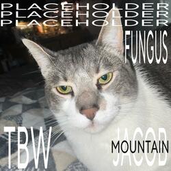 PLACEHOLDER (feat. Death-Is-Well & Jacob Mountain) (Remix)