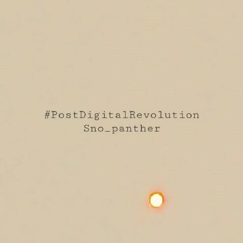 #PostDigitalRevolution