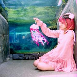 jellyfish (english version)