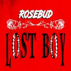 LOST BOY