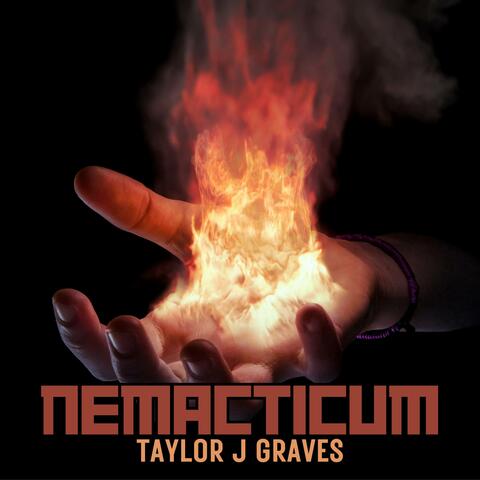 Nemacticum