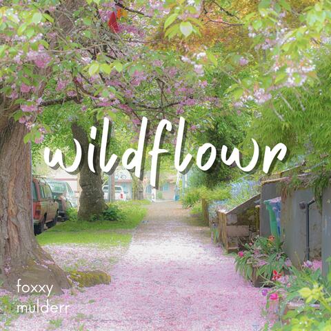 wildflowr