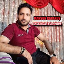 SENDE KALDI SOL YANIM