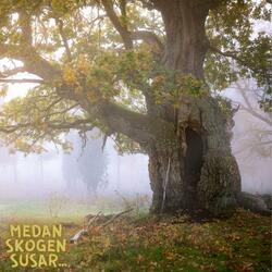 Medan skogen susar... (feat. Dennis Hollström & the Ponies) (Instrumental Version)