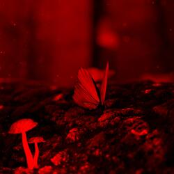 Retrospections To Come