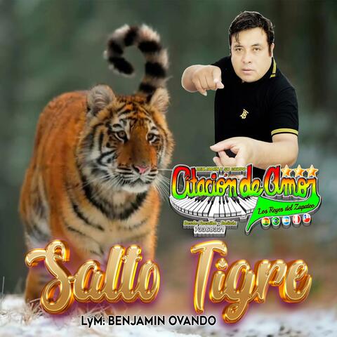 Salto Tigre Citación de Amor