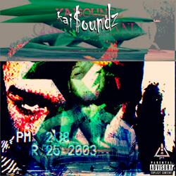 SUCK A NIGGA DICK 4 2K16 (Bonus Track)
