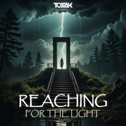 Reaching For The Light