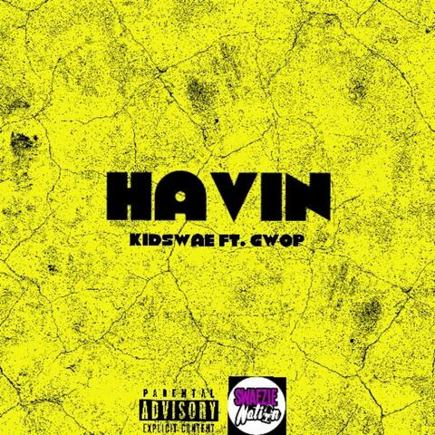 Havin (feat. Gwop)