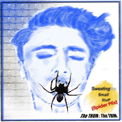 Sweatin' the Small Stuff (Spider Mix)