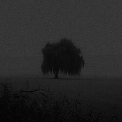 cold dew (slowed)