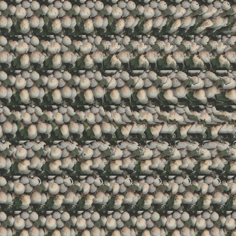 Flowers of Abundance (Ruby Fields Version)