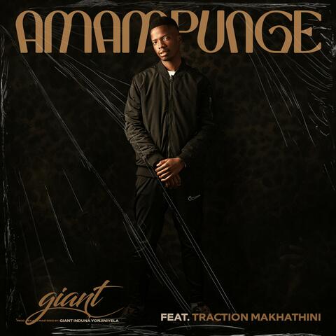 Amampunge (feat. Traction Makhathini)