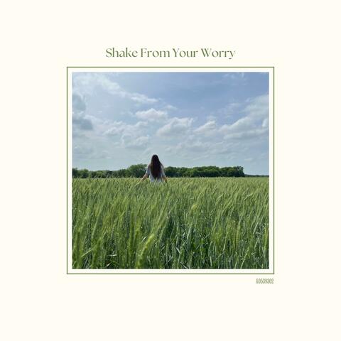 Shake From Your Worry
