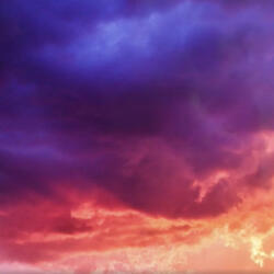 Hate (Nee Nee Version)