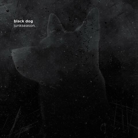 black dog