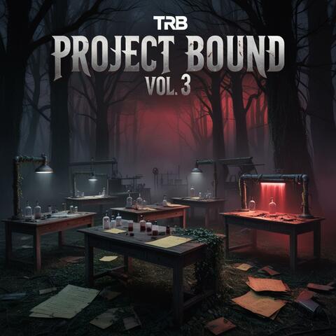 Project Bound, Vol. 3