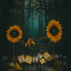 Vision of Stone