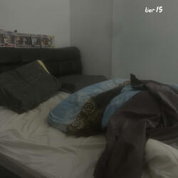 Tier 15 (feat. Steve miles)