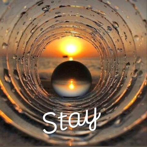 Stay