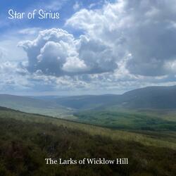 The Larks of Wicklow Hill