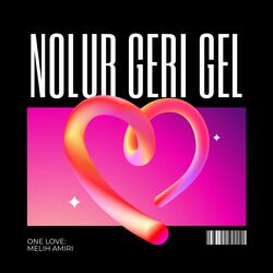 Nolur geri gel