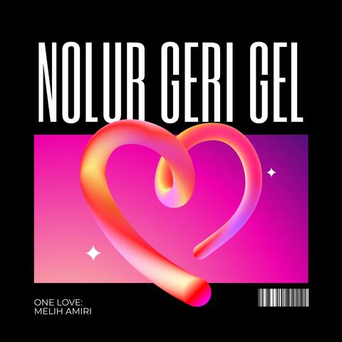 Nolur geri gel