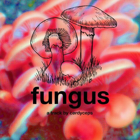 FUNGUS