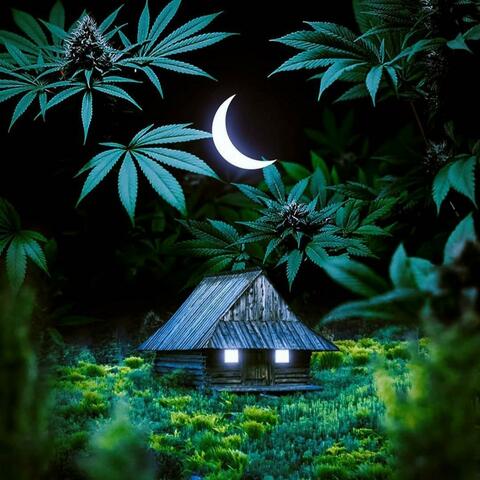 Marijuanas  (feat. Neyvii Blk)