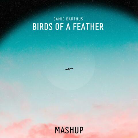 Birds of a Mashup