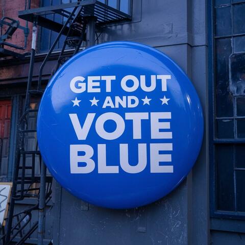 Gotta Vote Blue