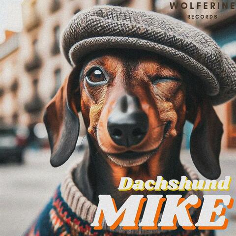 Dachshund Mike
