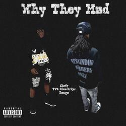 Why They Mad (feat. TVG BLUESTRIPZ & Banga)
