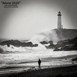 Alone 2020