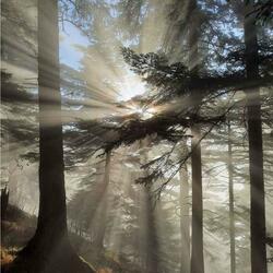 team (feat. omgkeon & hunchovelly)