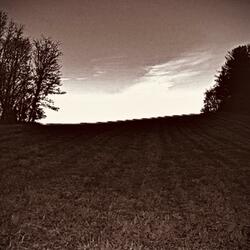 Walking in Green Pastures, Dying in Dark Plains
