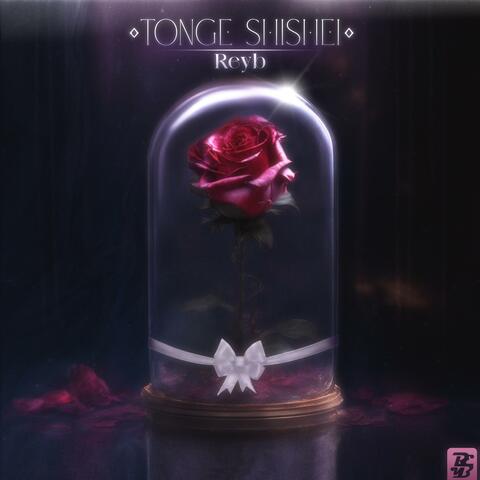 Tonge Shishei