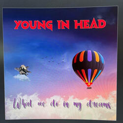 What do you do in my dreams