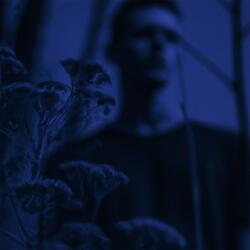 Shadows in the Night