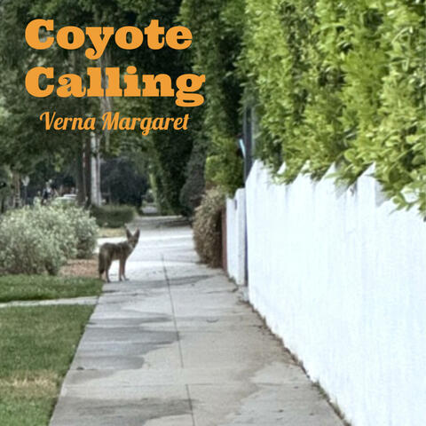 Coyote Calling