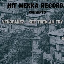 See them ah try (feat. Vengeanzz)