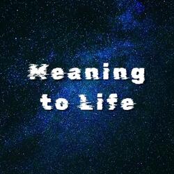 Meaning to Life