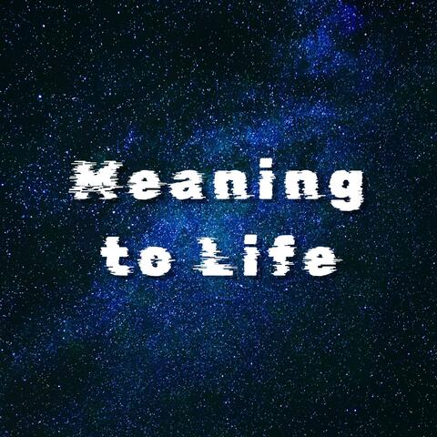 Meaning to Life