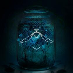 FireFlies 8D Relaxscape